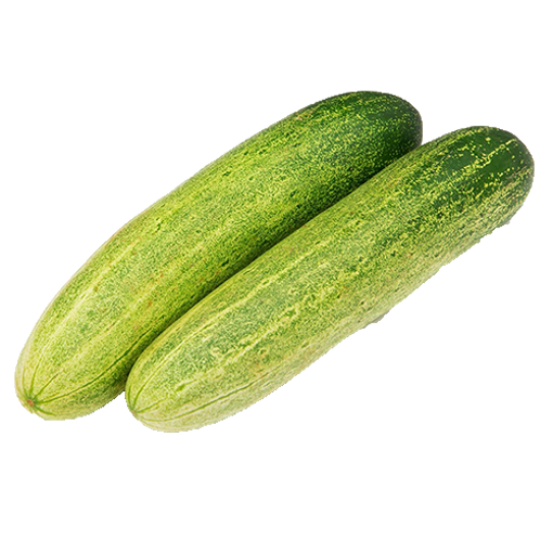 Cucumber