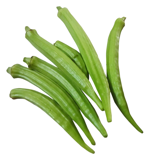 Okra