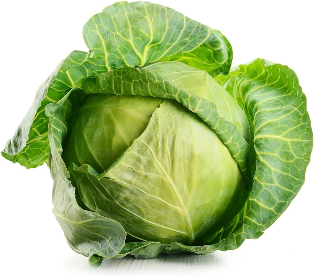 Green Cabbage