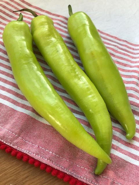 Turkish Green Chilli PP