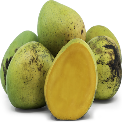 Alphonso Mango