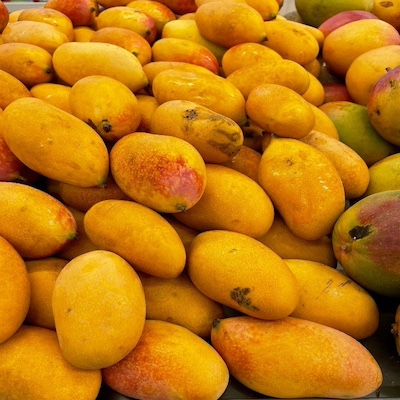Brazilian Mango