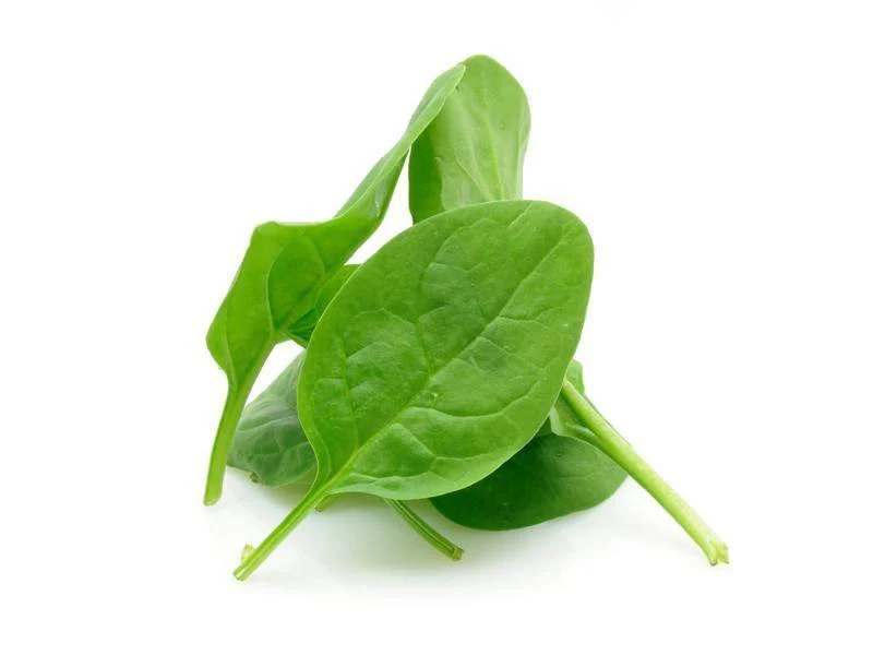 Spinach PP