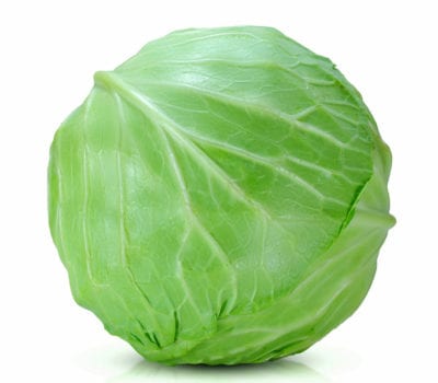 Green Cabbage