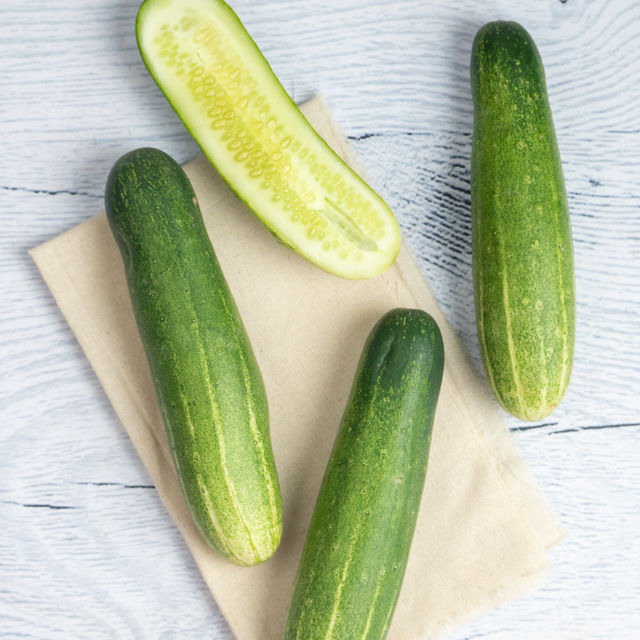 Cucumber