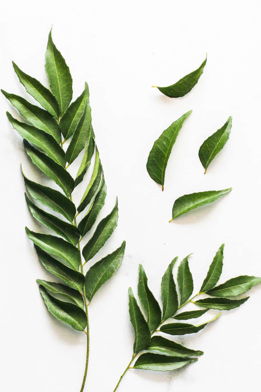 Curry Leaves