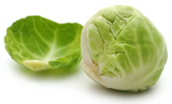 Small Cabbage