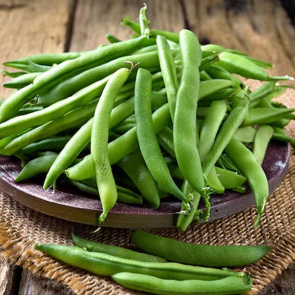 Forash Bichi / French Bean