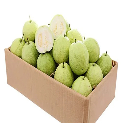 Guava Indian