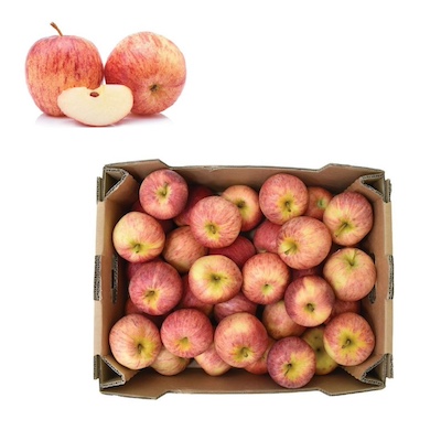 Gala Apple