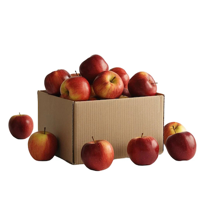 Gala Apple
