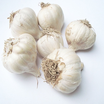 Garlic 40s