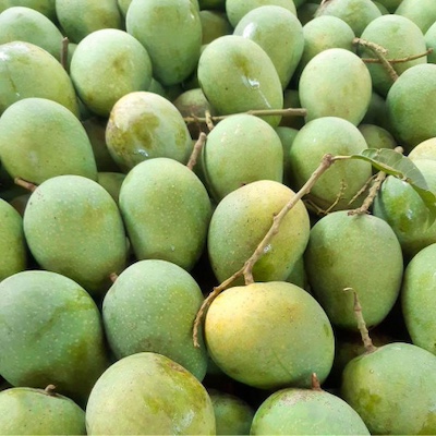 Mango Himsagar