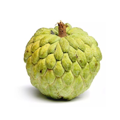 Custard Apple Indian