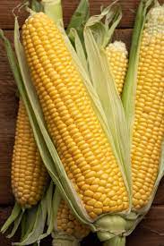 Sweet Corn