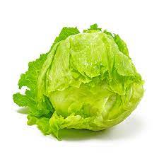 Iceberg lettuce