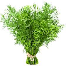 Dill