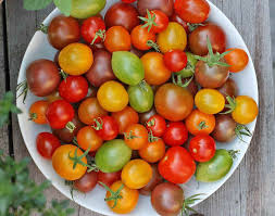 Cherry Tomato