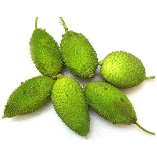 Kakrol/Spiny Gourd