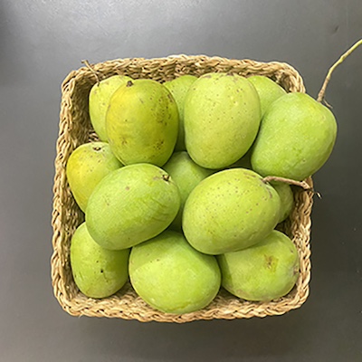 Mango Lengra