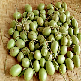 Jolpai / Olive