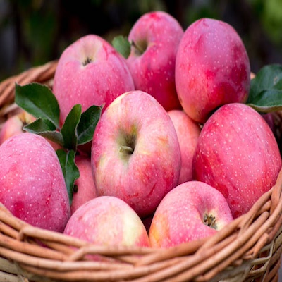Pink Apple
