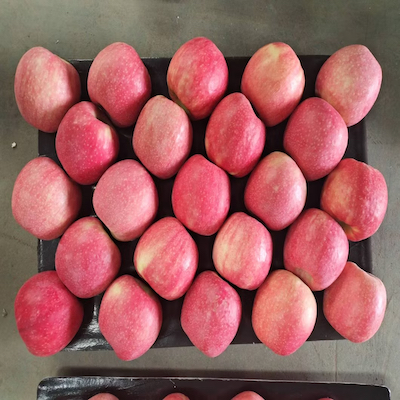 Pink Apple
