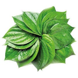 Paan / Betel Leaf