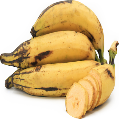 Plantain Yellow