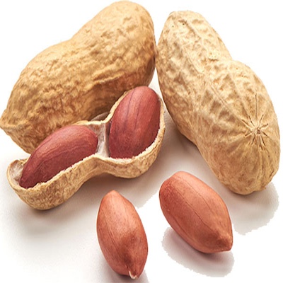 Peanut Indian