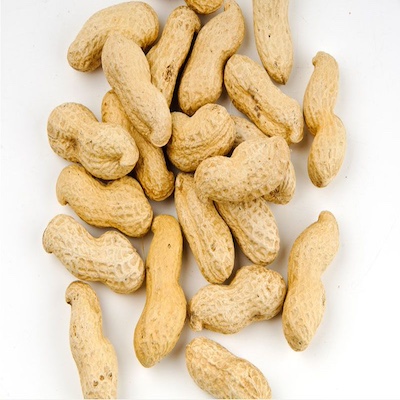 Peanut Indian