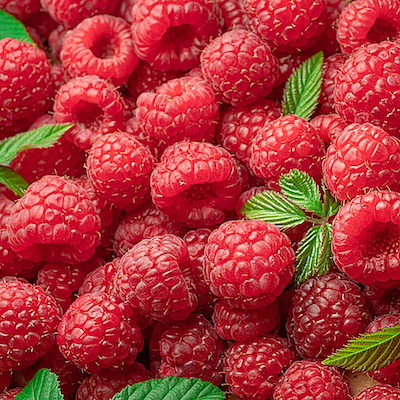 Raspberry