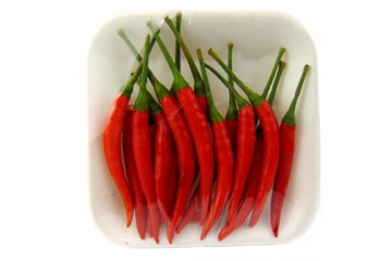 Thai Red Chilli