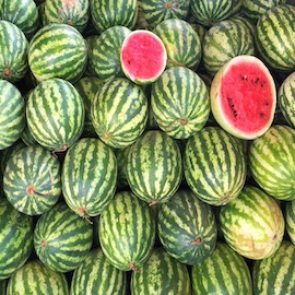 Water Melon Stripe