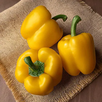 Capsicum Yellow